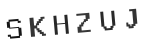 Verification Code Image